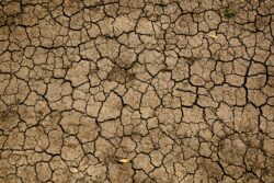 Picture of cracked, dry earth
