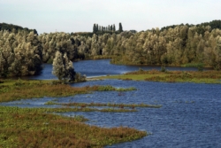 Floodplain landscape