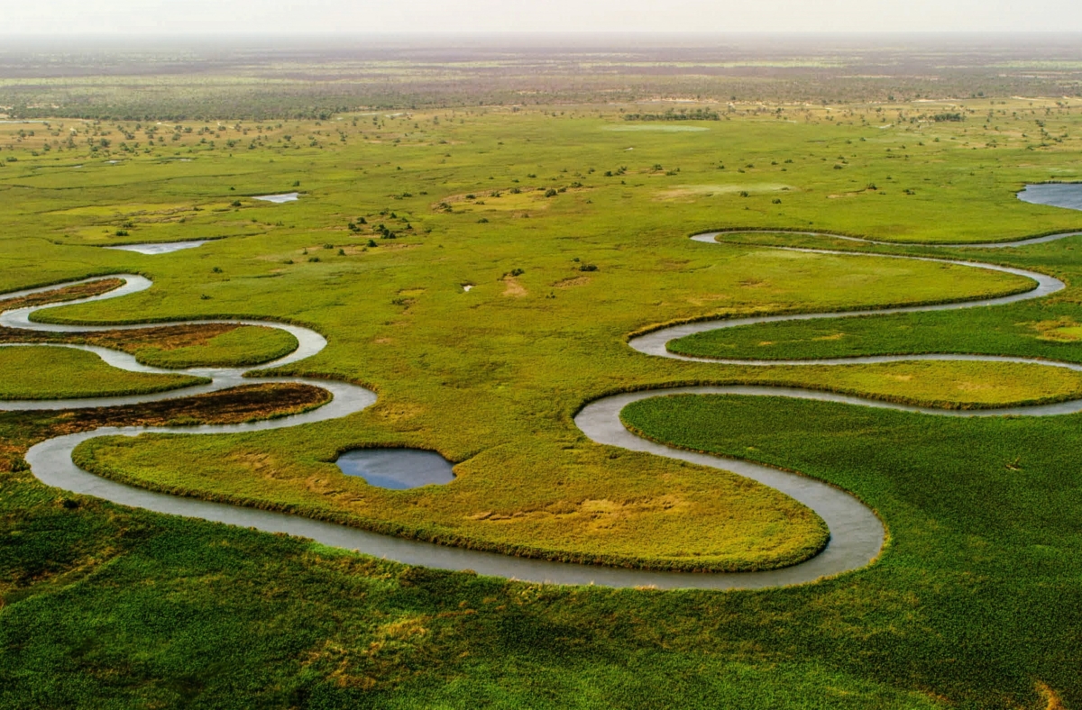 okavango-delta